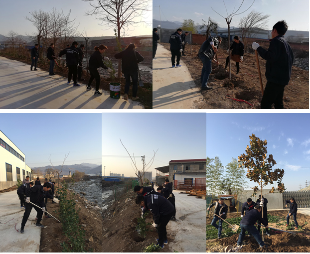寶雞捷銳“迎春風(fēng)，綠家園”植樹節(jié)(圖1)