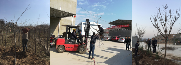 寶雞捷銳“迎春風(fēng)，綠家園”植樹節(jié)(圖2)